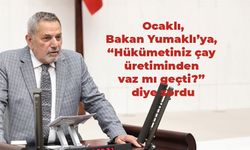 Ocaklı: Hükümet çay üretiminden vaz mı geçti?
