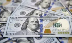 Merkez Bankası rezervlerindeki 7 haftalık düşüş sona erdi