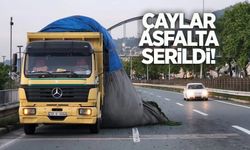 Çayeli’nde seyir halindeki yaş çay kamyonunu görenler şaşırdı!