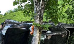 Rize'de uçuruma devrilen kamyonetin sürücüsü yaralandı