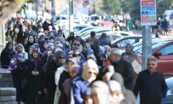 Sebze fiyatları arttı vatandaş bedava fide kuyruğuna girdi