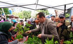 Akçaabat Belediyesi 10 Bin Adet Sebze Fidan Dağıttı