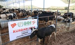 İHH, 2025 yılı için kurban hisse bedelini açıkladı!