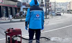Trabzon Büyükşehir Vektörle Mücadelede Yaza Hazır