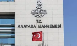 Sokak hayvanları düzenlemesi: AYM, iptal istemini görüşecek