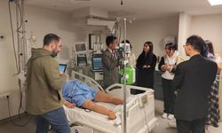 Recep Tayyip Erdoğan Üniversitesi Tıp Fakültesi Klinik Simülasyon Eğitim Merkezinde Akupunktur Eğitimi Düzenlendi