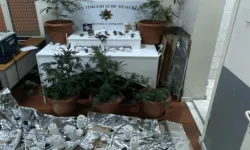 Beyoğlu'nda kiraladıkları daireye uyuşturucu serası kurdu