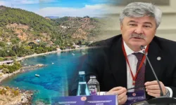 Muğla’daki Zeytinlik ve Orman Arazileri Satışa Çıkarıldı, İYİ Partili Ergun Tepki Gösterdi