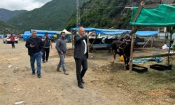 Borçka'da Kurban Pazarı Hijyen ve Güvenlikle Hazır, Vatandaş Memnuniyetini Artırmayı Hedefliyor