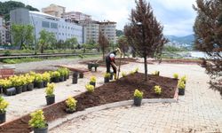 Hopa Belediyesi Kurban Bayramı Öncesi Temizlik ve Bakım Çalışmalarına Hız Verdi