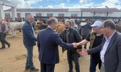 Bayburt'ta Kurban Bayramı Öncesi Canlı Hayvan Pazarında Yoğunluk Artıyor