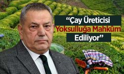CHP'li Tahsin Ocaklı’dan Meclis'te Çay Üreticileri İçin Sert Eleştiri: "Emeği Hiçe Sayıyorsunuz!"