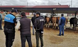 Bayburt'taki hayvan pazarında sahte para uyarısı yapıldı
