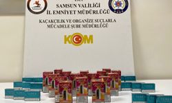 Samsun'da kaçakçılık operasyonunda zanlı yakalandı