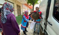 Sinop'ta kaçak avlanan 363 kalkan balığı vatandaşlara dağıtıldı