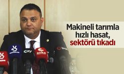 Rize Ziraat Odası Başkanı Arslan: Hasat dönemine kısa süreli ara verilmesi gerekir