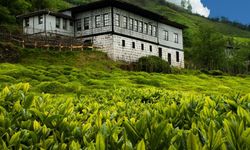 Doğu Karadeniz'de ihracat arttı, Rize'de düştü
