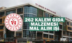 262 KALEM GIDA MALZEMESİ MAL ALIM İŞİ