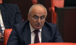 Rize Milletvekili Mertoğlu: Rize'de ayrışmaya değil kardeşliğe ihtiyacımız var