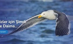 2026 Akademik Çeviri Ücretleri: Tez, Makale ve Bildiri Çevirisi Maliyet Analizi