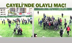 Çayelispor - Hopaspor maçı olaylı bitti