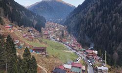 Karadeniz'de yayla turizmine 9 günlük bayram tatili dopingi
