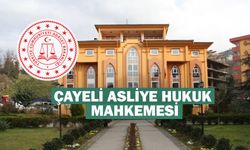 ÇAYELİ ASLİYE HUKUK MAHKEMESİ