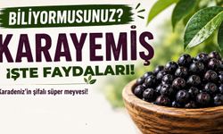 Karadeniz’in Şifalı Meyvesi: Karayemiş