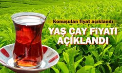 2026 Yaş Çay Alım Fiyatı Açıklandı