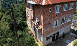 Çayelili vatandaştan ilginç önlem: Karadeniz zekası ayıya karşı; kovanlara 'asansörlü' önlem
