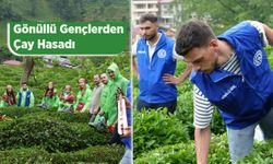 Gençler Çayın Yolculuğunu Yerinde Deneyimledi