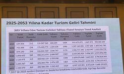 Bakan Yardımcısı Alpaslan: 65 milyar dolarlara ulaşan turizm geliriyle Türkiye, lider ülkelerden biri