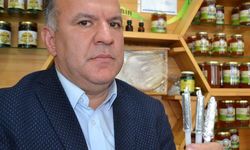 Ordu'da arı sütüne ilgi artıyor