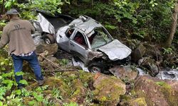 Ordu'da uçuruma yuvarlanan kamyonetteki karı-kocayı ölüm ayırdı