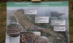 Trabzon'da 5 bin hayvana ev sahipliği yapacak barınak inşa edilecek