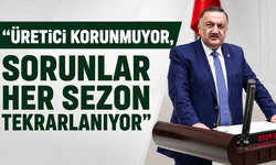 Karal’dan çay kanunu çağrısı: “Üretici korunmuyor, sorunlar her sezon tekrarlanıyor”