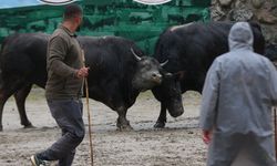 Rize'de "30. Çamlıhemşin Ayder Kültür, Sanat ve Doğa Festivali" başladı