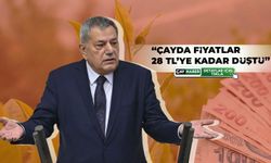 Tahsin Ocaklı: “Çay Üreticisi Özel Sektörün İnsafına Bırakıldı”