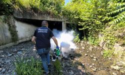 Rize Belediyesi’nden Sivrisinek ve Haşereye Karşı Yoğun Mesai