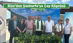 Rize Kent Konseyi’nden Şanlıurfa’da “Çay Köprüsü” Etkinliği