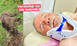 Saldırısına nacakla direnmişti; yaraladığı ayı ölü bulundu