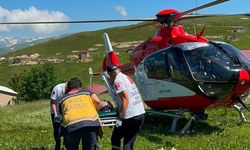 Yaylada mantardan zehirlenen kişi ambulans helikopterle hastaneye kaldırıldı