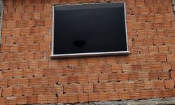 Kuş yuvası için evindeki tadilatı durdurdu