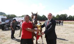 Ordu yaylalarında festival coşkusu
