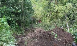 Rize'de uçuruma yuvarlanan iş makinesinin operatörü yaralandı