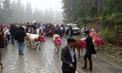 Trabzon'da süslü hayvanlar ve yöresel kıyafetlerle geleneksel yayla göçü