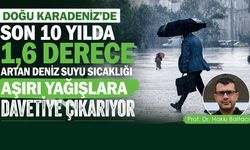 Uzman uyardı: Doğu Karadeniz’de deniz suyu sıcaklığı tehlikeli eşiği aştı