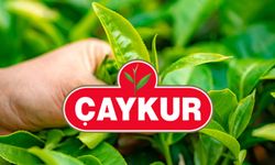 ÇAYKUR birinci sürgünde 259 bin ton yaş çay aldı