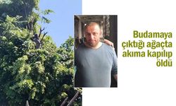 Budamaya çıktığı ağaçta akıma kapılıp öldü