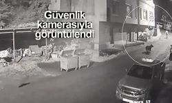 Rize'de bir kişinin anne ayı ve yavrularından kaçış anları güvenlik kamerasında